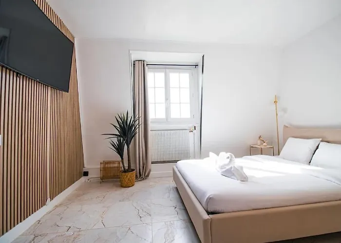 Typical Parisian In Le Marais Paris